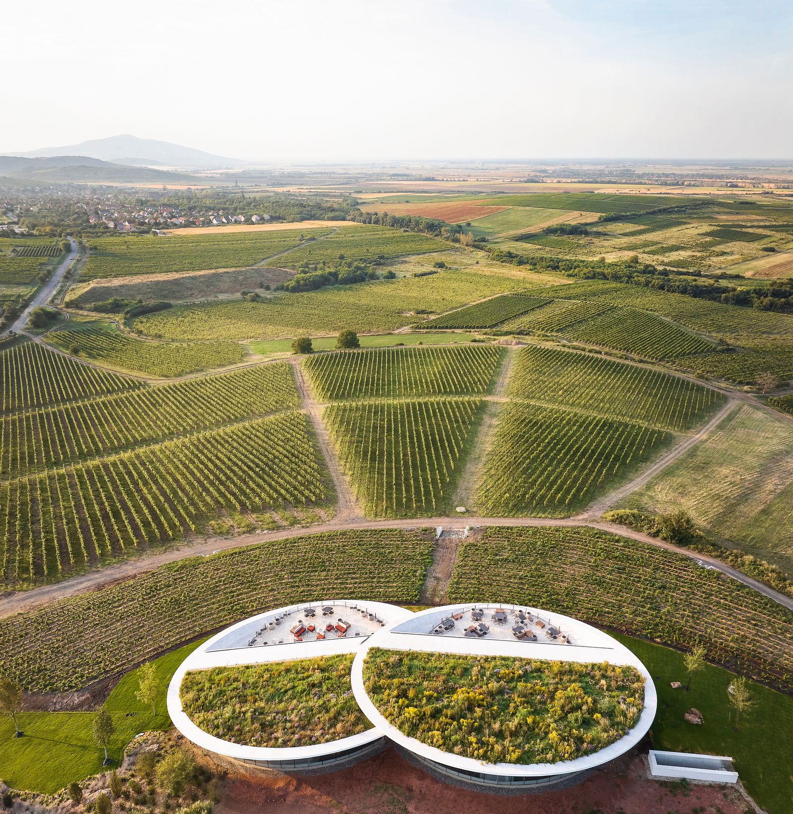 « Un domaine viticole au-dessus des vignes, avec vue sur l'univers » prsente le domaine de Sauska situ dans la rgion prise...