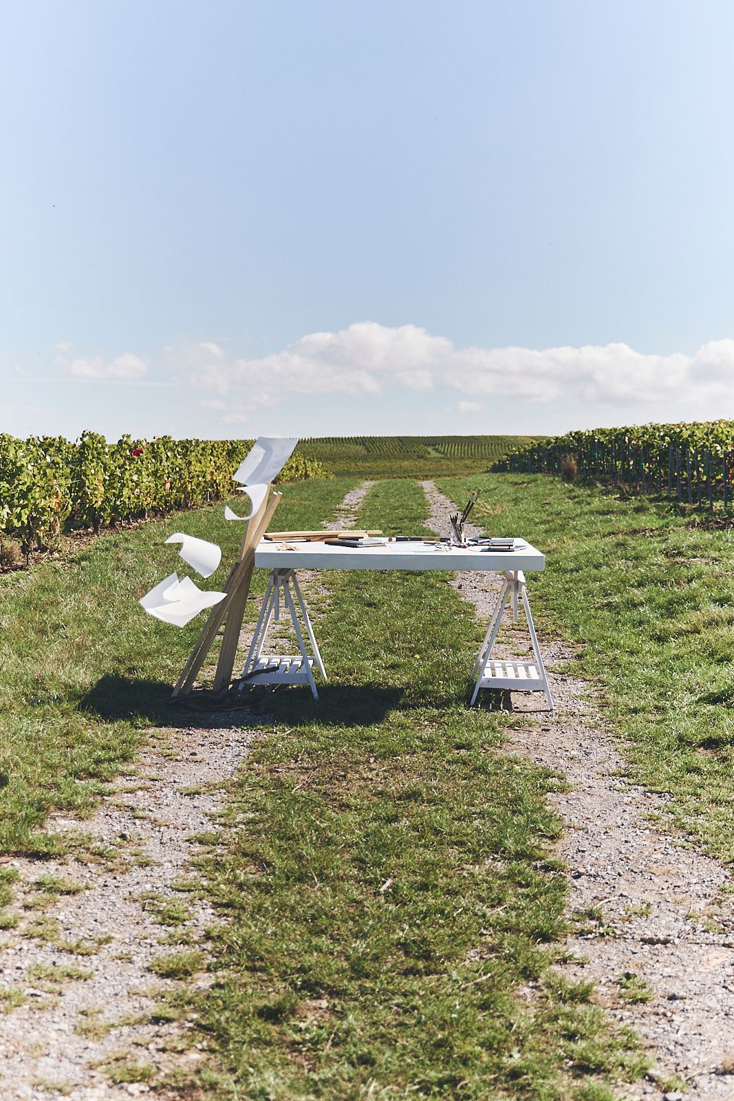 Ruinart invite Tadashi Kawamata à investir son jardin d'œuvres en bois architecturales