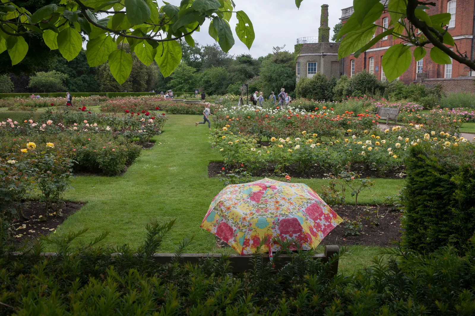 Greenwich Park attire de nombreux visiteurs pour ses jardins foisonnants.