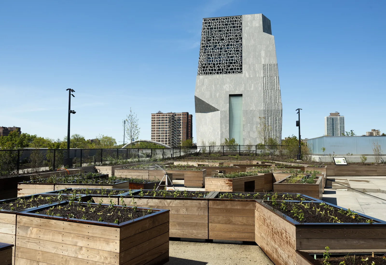 Eleanor Roosevelt Fruit Vegetable Garden at The Obama Presidential Center Museum in Chicago