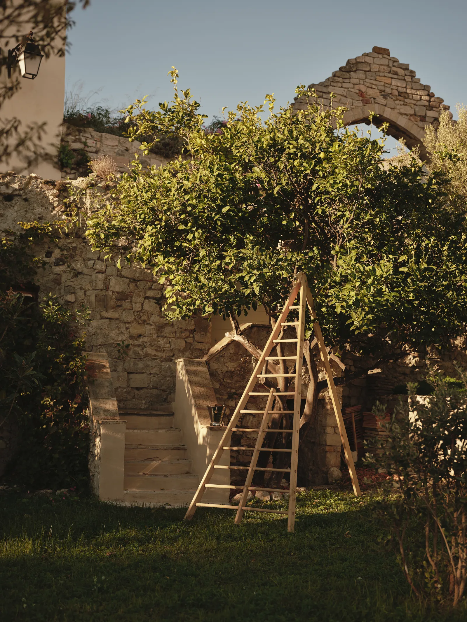 Image may contain Architecture Building House Housing Staircase Arch Grass Plant Vegetation Wall and Outdoors