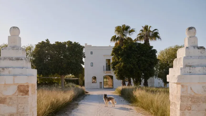 Puglia'da Bir Çiftliğin Modern Masseria: Köpekleri ve Keçilerle