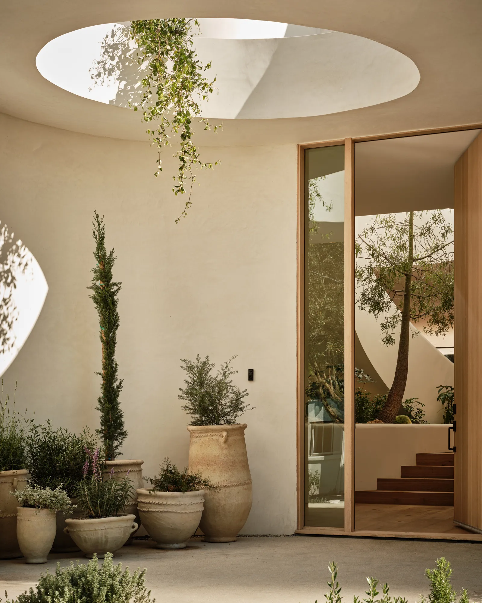 Image may contain Plant Potted Plant Door Indoors Interior Design Architecture Building and Housing