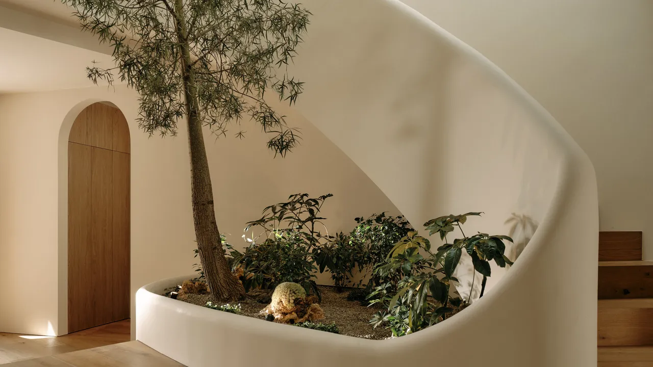 Los Angeles'ta Minimalist Bir Villa: Devasa Bir Ağacın Etrafında Dönüyor